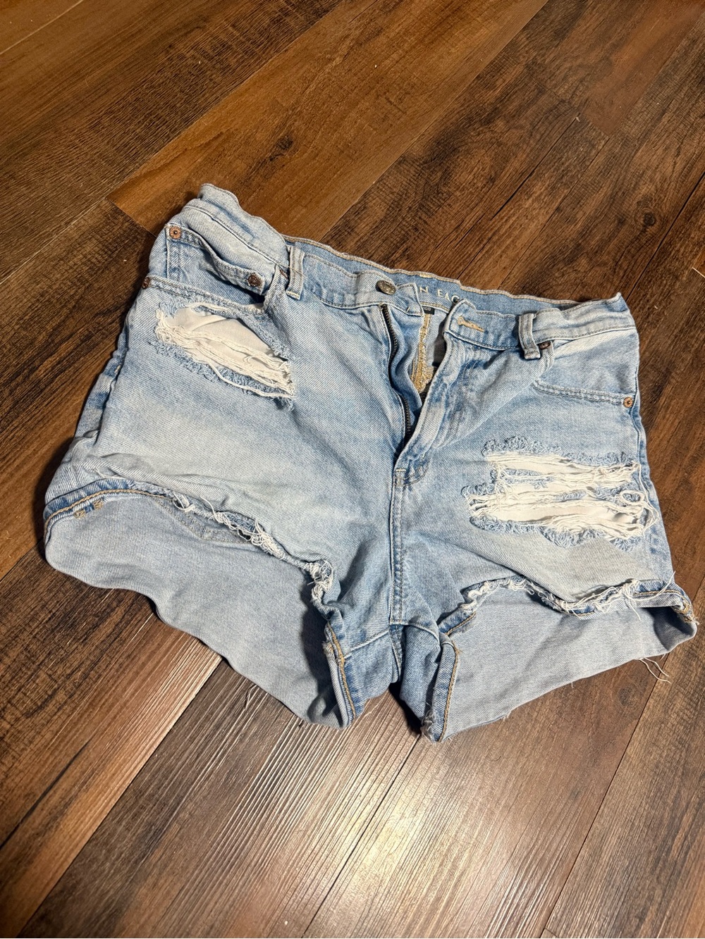 American Eagle Outfitters Light Blue Distressed Jean Shorts